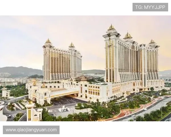 澳门银河赌场娱乐项目全面介绍,开启尊贵奢华的娱乐之旅